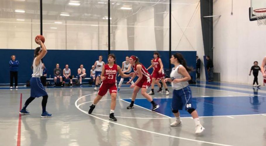 PABT vs Indiana Wildcats. 2019